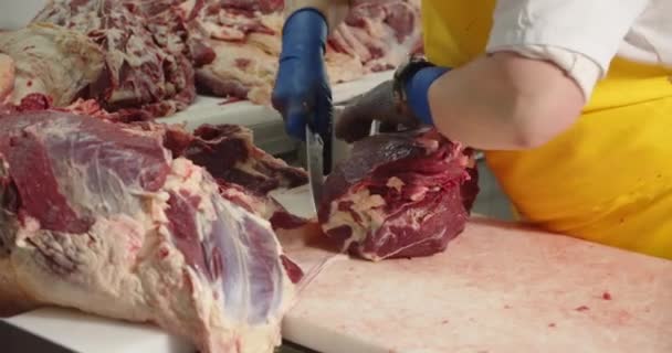 労働者はソーセージ工場でさらに処理するために骨から肉を分離します 高品質4K映像 — ストック動画