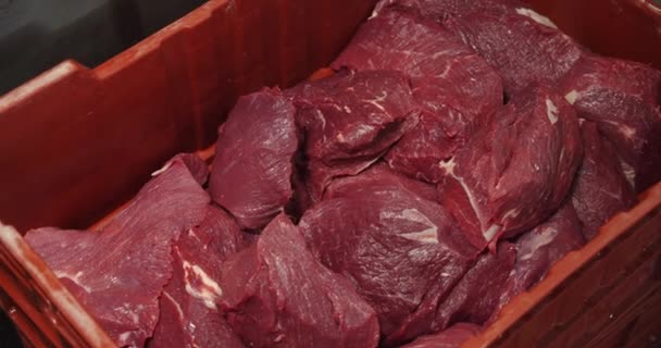 Fillet Meat Thrown Container Further Processing High Quality Footage — Stockvideo