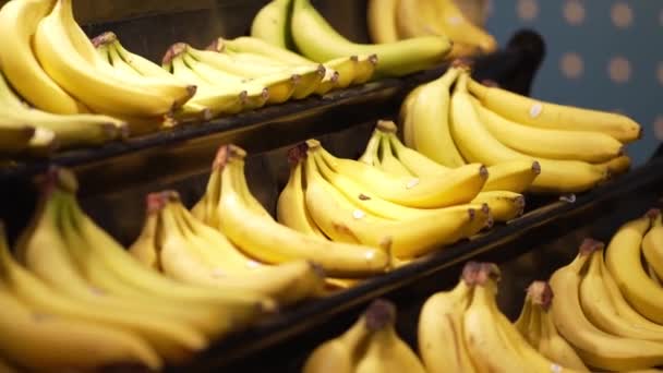 Желтые Свежие Бананы Витрине Супермаркета Сладкие Экзотические Плоды — стоковое видео