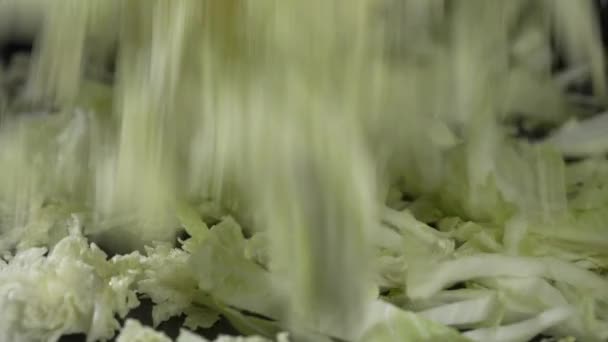 Crispy Green Cabbage Cut Large Pieces — Stock Video