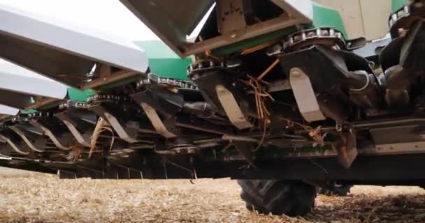 Harvesting Corn Autumn Field High Quality Footage — Stockvideo