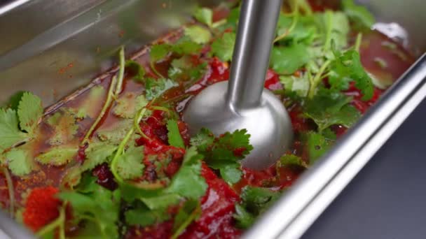 Blades Electric Blender Cut Fresh Colorful Vegetables Greens Ultra Slow — Video