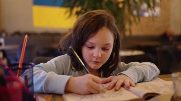 Little Girl Draws Pencils Childrens Creativity Development — Stock Video