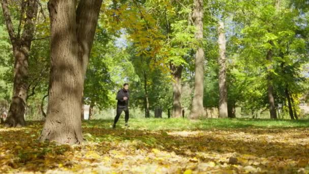 若い魅力的な男が秋の公園で午後にジョギングしています — ストック動画