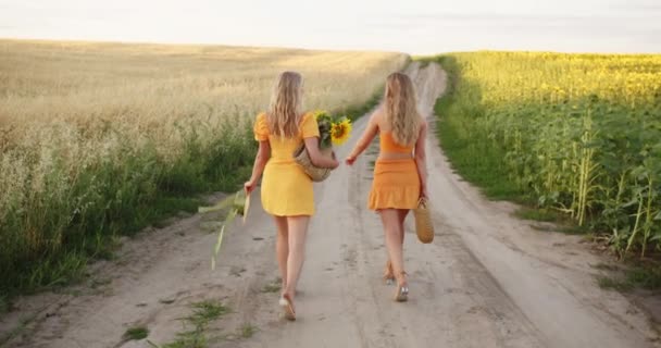 Two Blondes Walking Nature Summer Sunny Day — Stock Video