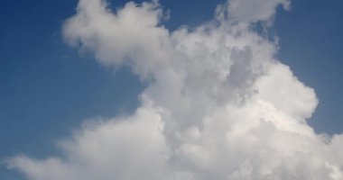 Cloud in the form of a mushroom with birds Timelapse. High quality 4k footage