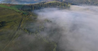 The Fog In The Mountains Evaporates. Carpathians. High quality 4k footage