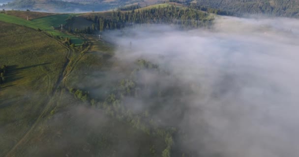 Fog Mountains Evaporates Carpathians High Quality Footage — Vídeo de Stock