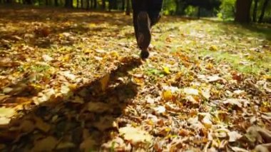A man leads a healthy lifestyle and does sports in the fresh air in autumn