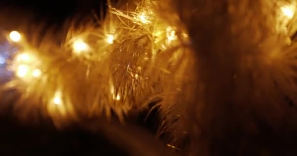 Golden Shiny Christmas Garland Lights — Stockvideo