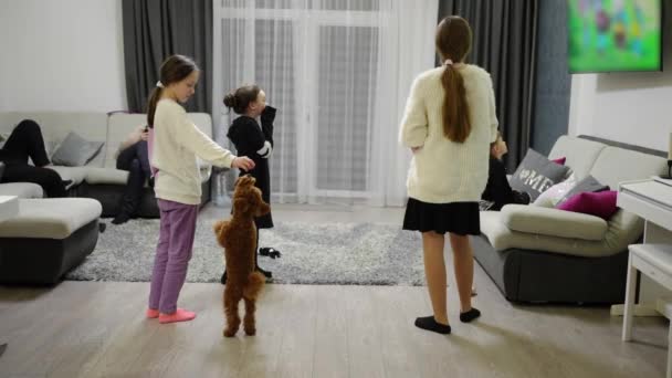 Concept Rest Entertainment Emotions Family Children Watching Hanging Wall Living — Stockvideo