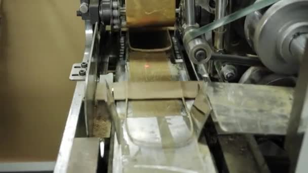 Karton Ürünler Karton Fabrikası Kese Kağıdı Ambalaj Üretir — Stok video