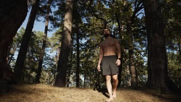 Çıplak Gövdeli Çıplak Ayaklı Bir Adam Yazın Ormanda Yürür Manzaranın — Stok video
