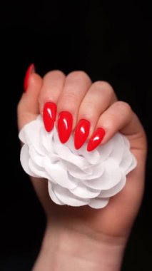 Beauty salon. Gentle manicured hands holding a white flower close-up. Beautiful manicured nails, a great idea for advertising cosmetics. Female hands with perfect red manicured nails