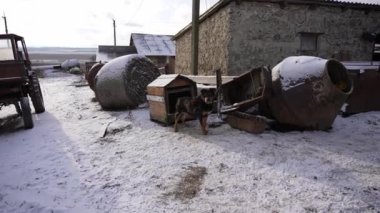 A guard dog with diseased blind eyes is tied to a shed on an abandoned farm. Abuse of animals