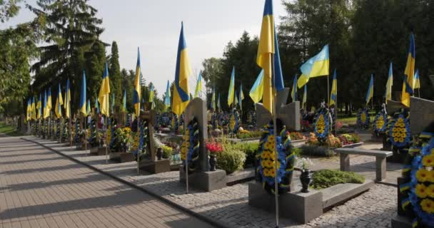 ウクライナの軍事墓地 ウクライナとのロシア戦争で死亡したウクライナ軍の兵士がここに埋葬されています 記念碑の上をウクライナ国旗が飛ぶ — ストック動画