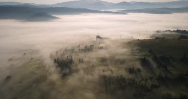 The Sun Dispels The Thick Fog That Covers The Entire Surface. Carpathian Mountains. High quality 4k footage