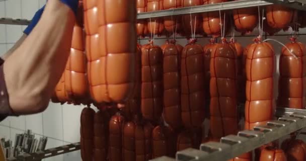 Employee Hangs Packed Sausage Container Transportation Bakery High Quality Footage — Stock Video