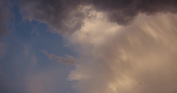 云以蘑菇的形式出现 伴随着鸟儿的飞逝 高质量的4K镜头 — 图库视频影像