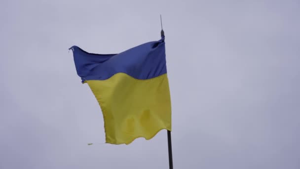 Grande Bandeira Ucraniana Rasgada Flutua Céu Azul Vento Libertação Território — Vídeo de Stock