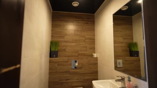 带有镜子 厕所的现代浴室的空旷内部 — 图库视频影像