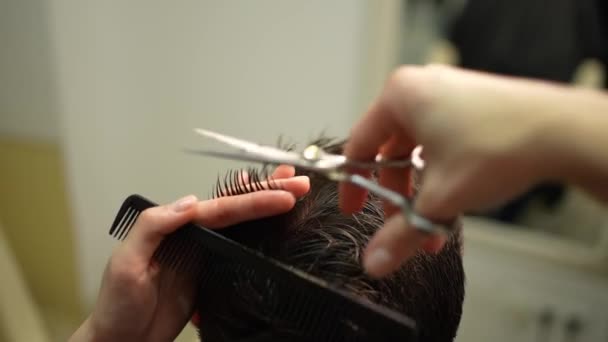 Hairdresser Makes Hair Scissors Clients Hair Barbershop Mens Haircut Shave — Stock Video