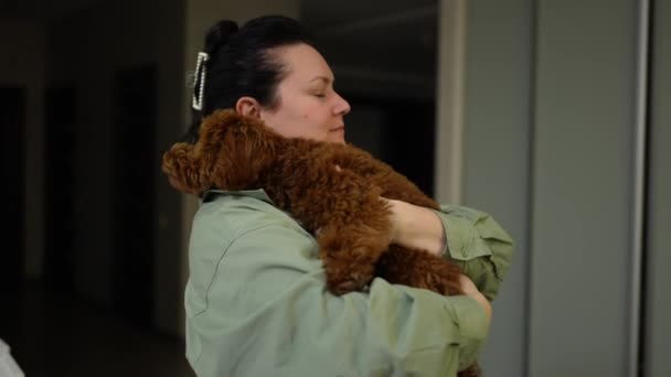 Adulto Mulher Segurando Acariciando Seu Cão Fofo Bonito Sorrindo — Vídeo de Stock
