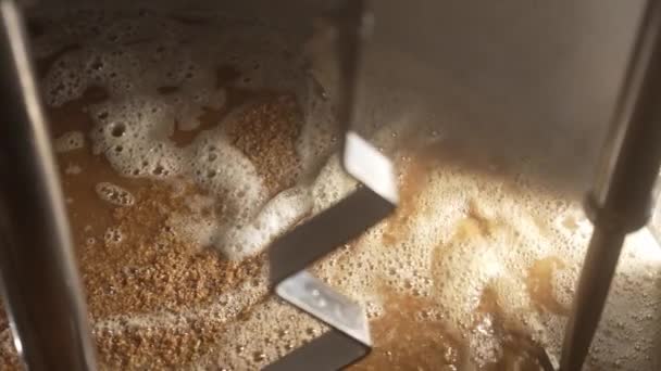 Los Grañones Cebada Trigo Están Empapados Agua Proceso Elaboración Malta — Vídeo de stock