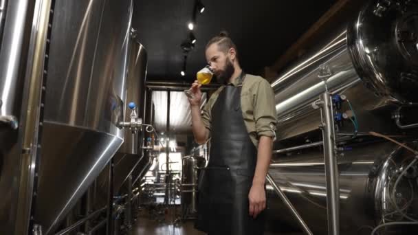 Bira Imalatçısı Endüstriyel Bira Fabrikasında Bira Tadıyor — Stok video