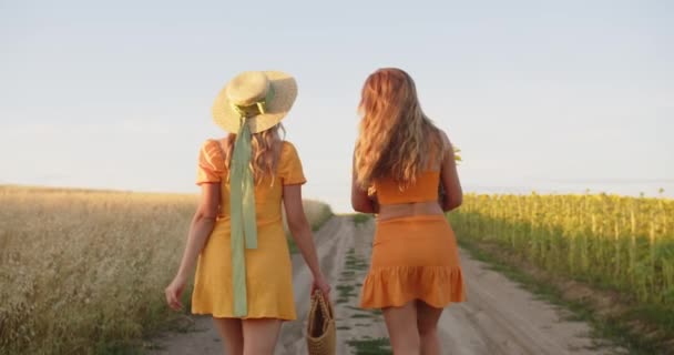 Die Mädchen Gehen Den Feldweg Entlang Und Lachen Fröhlich — Stockvideo