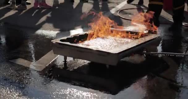 Több Tűzoltó Overálban Tűz Gondatlan Kezelése Mentsd Meg Természetet Azonnal — Stock videók