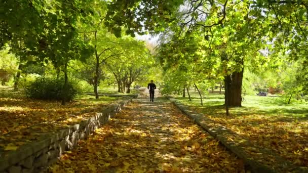 Jovem Bonito Corre Através Uma Floresta Outono Quente Dia Ensolarado — Vídeo de Stock