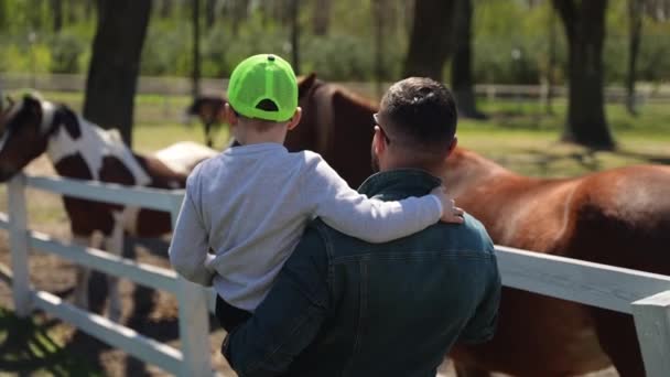 Father Carries His Son His Arms Strokes Horse Standing Fence — Stock Video