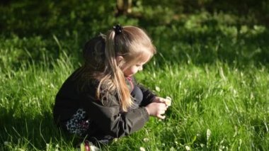 Okul çağındaki tatlı bir kız tarlada kır çiçekleri topluyor. Dışarıda mutlu bir çocuk. Yaz tatili. Bir çocukluk anı.