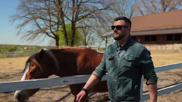 黒い眼鏡の男が馬と牧草地を歩いている ハッピーカウボーイ スローモーション — ストック動画