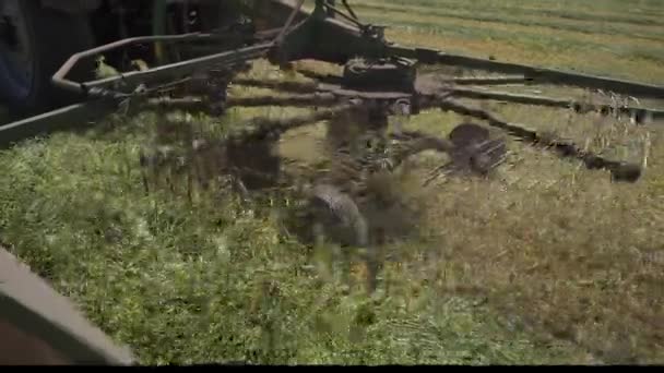 トラクターの上の農家は 回転熊手で新鮮な切り草を熊手 リアビュー — ストック動画