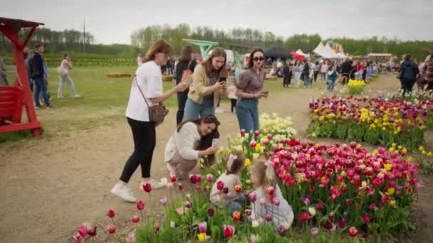 Pessoas Estão Tirando Fotos Campo Tulipas Cercado Por Flores Florescentes — Vídeo de Stock