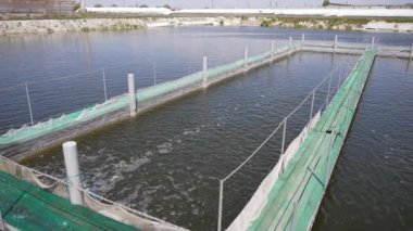 Endüstriyel balık üretimi için çiftliğin açık havasındaki tanklar