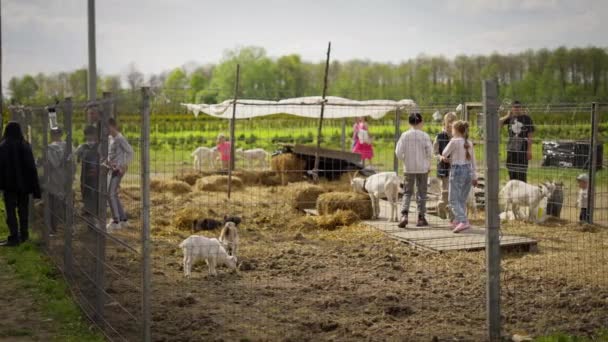 孩子们在山羊农场旅游玩得很开心 — 图库视频影像