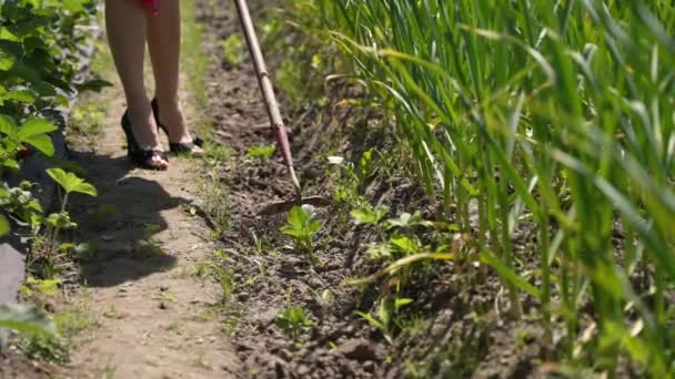 一个女人用金属铲子在花园里干活和施肥 — 图库视频影像