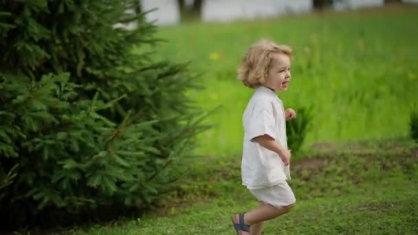 Gelukkige Baby Wandeling Het Zomerpark — Stockvideo
