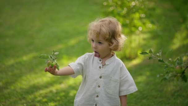 Mały Chłopiec Pokazuje Swój Język Trzymając Zielone Jabłko — Wideo stockowe