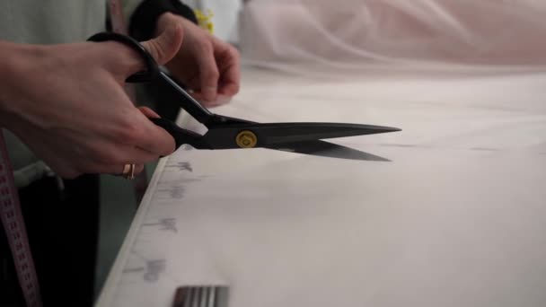 女裁缝师用剪子剪断织物缝制服装 女裁缝服装设计师 — 图库视频影像