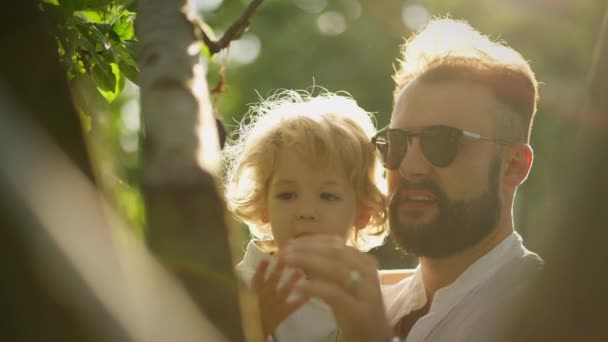 Vader Houdt Schattige Kleine Zoon Armen Tijdens Het Wandelen Tuin — Stockvideo