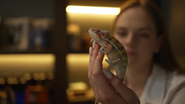 Een Meisje Haar Kamer Met Een Kruipend Reptiel Haar Arm — Stockvideo