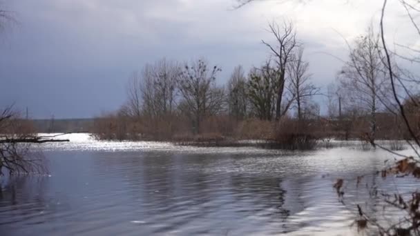 优习网泉水泛滥 春天的景色 泉水泛滥 河岸泛滥 树木倒立在水里 — 图库视频影像