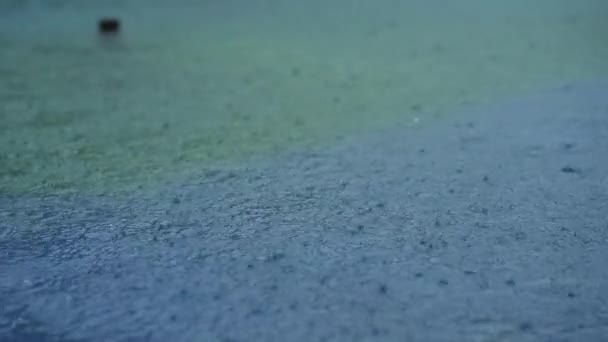 Lluvia Gotas Lluvia Fuerte Gotean Sobre Asfalto Las Fuertes Gotas — Vídeo de stock