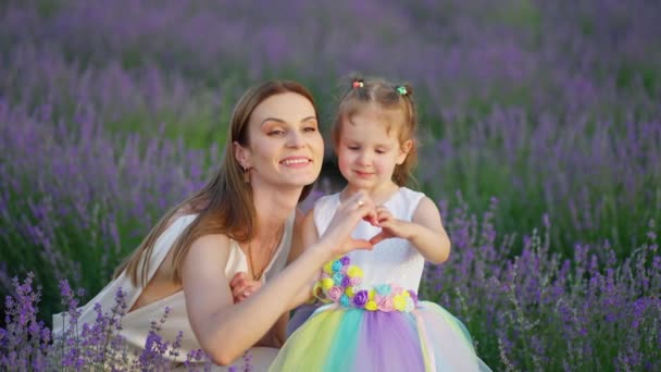 母と小さな娘 女性とその子供の手は ラベンダーフィールドで散歩中に心臓の形を作りました 幸せと自由 母性の概念の夢 幸せな母親と子供 感情的なシーン — ストック動画