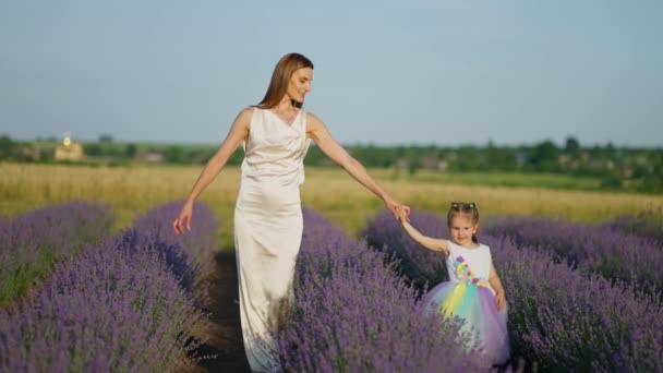 小さい娘がいるアクティブな若い母親がお祝いの豪華なドレスでラベンダーフィールドを歩いています — ストック動画