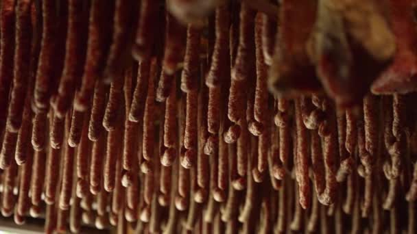 肉和生香肠都被挂在现代烟熏房的架子上 — 图库视频影像